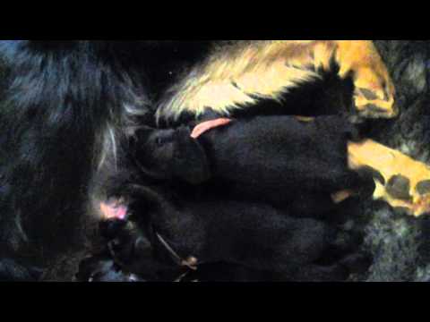 Dag 11 met alle negen bij mama Idhaya