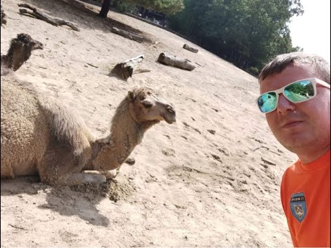 Wolves klubireis Poola (2.07-8.07.2021)