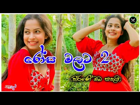 Rosa Malata 2 (Theerane Oba Sathui) || Tharidu Dilshan || #lyrics || @LMTv-1