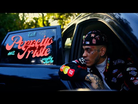 Miniatura de Perreito Triste #2