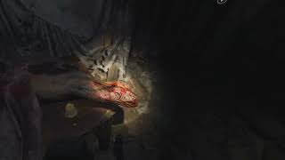 RESIDENT EVIL 4 REMAKE PLAYSTATION  VR2 PS5 DUBLADO