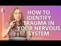 Polyvagal Theory: The 3 States of Anxiety in the Nervous System
