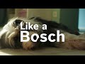 Video produktu Bosch WAX32M40BY