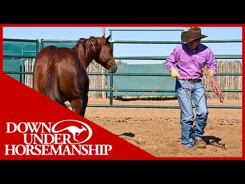 Clinton Anderson: The Purpose of Lariats - Downunder Horsemanship