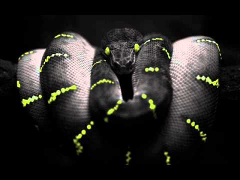 Lamat & Han Solo - Next Generation Of Science