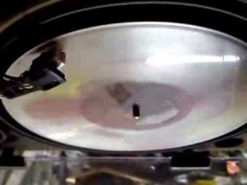 GIFT TO LIONESS & LIVIJAH