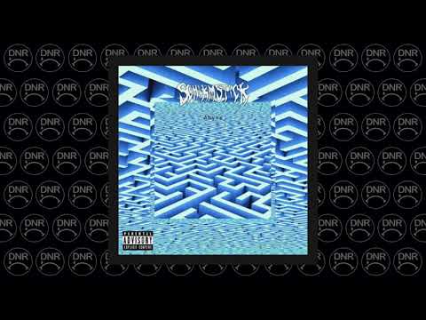 SCHIRMSTICK - INSANITY