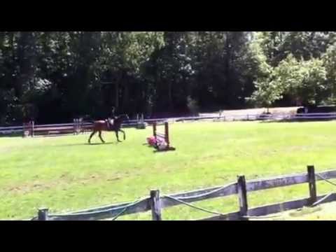 Rebecca Mazzaferro CHJA Medal Pines June 15