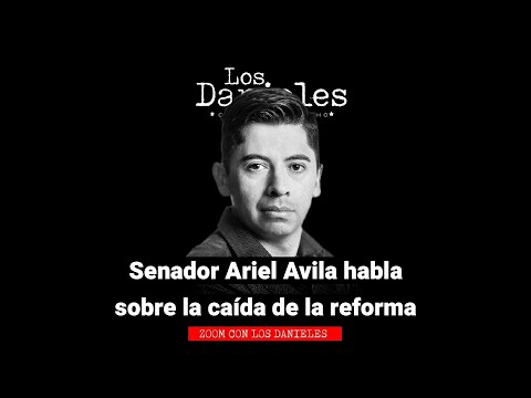 El gobierno hundió la Reforma Política / ¿Qué opina Ariel Ávila de los micos?