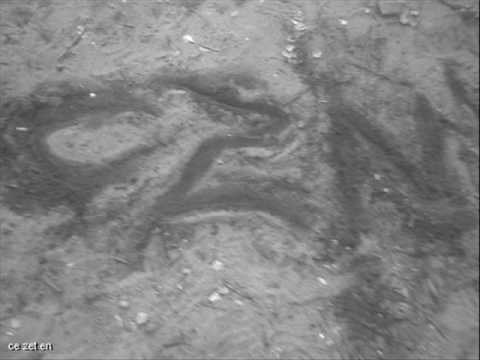 CZN Zaczyna Sie Ft Sebol Prod Sadzik