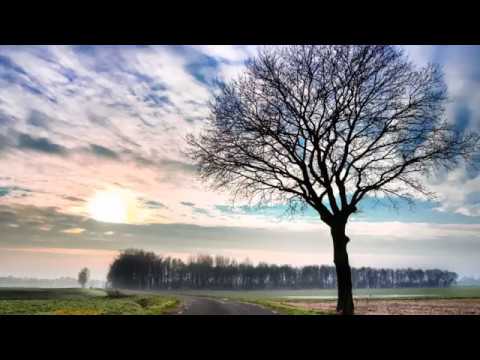 Devocional 13 Abril: Lucas 19:10 Audiodevocional