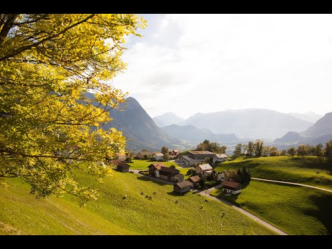 The Liechtenstein Trail