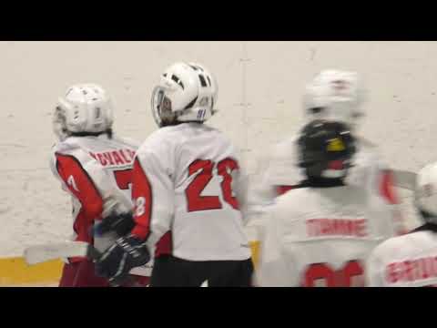 Severstal White - HC Vipers 1. periood /1