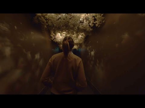 VISITER CHÂTEAU FLEUR CARDINALE // VISITING CHATEAU FLEUR CARDINALE