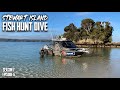 Hunting New Zealand S Most ELUSIVE Deer S7 EP6 Stewart Island Rakiura Part 2