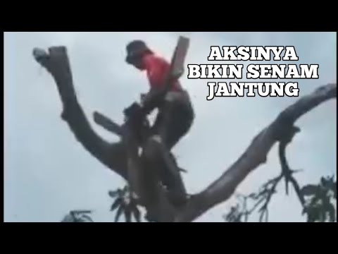SUNGGUH BERANI DAN BIKIN SENAM JANTUNG YANG MELIHATNYA
