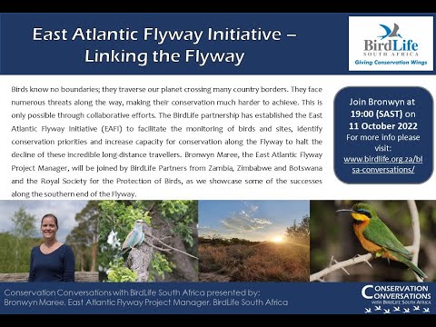 Conservation Conversations: BirdLife's East Atlantic Flyway Initiative (10Oct22)