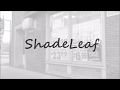 Shade Leaf- Shade Leaf