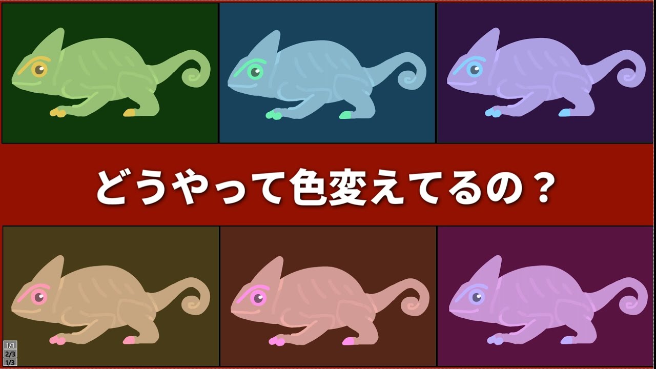 実はカメレオンだけ特殊であることが最近の研究で判明【解説】