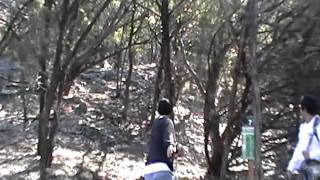 Disc Golf Ace Run
