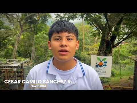 🚀 Tecnología + huerta: estudiantes en Silvania  Cundinamarca crean productos naturales desde cero