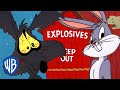 Looney Tunes Coyote Vs Rabbit WB Kids