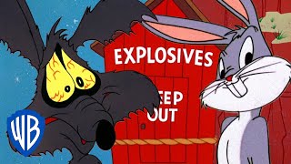 Looney Tunes  Coyote Vs Rabbit  WB Kids