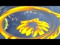 BAP KENNEDY THE BEAUTY OF YOU - danradu leaf BAP KENNEDY THE BEAUTY OF YOU