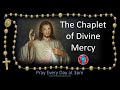 Pray The Chaplet Of Divine Mercy The 3 O Clock Prayer Multi Language Cc Subtitles