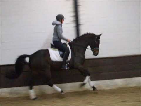 SINA v. Silberschmied - Eiger I -  VB 8.500,- Euro