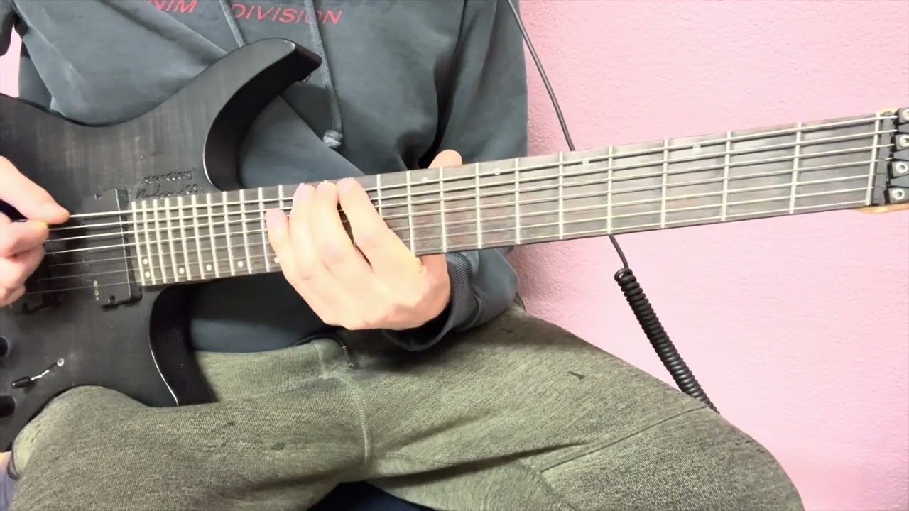 Roberto Barlocci playing Meshuggah's "In Death Is Life" on a 7-string electric guitar