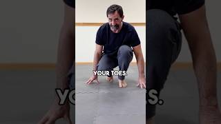MMA Fence Wall Walk demonstration thumbnail