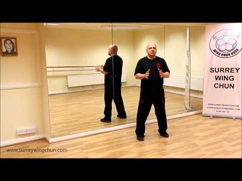Wing Chun Empty Hand Training