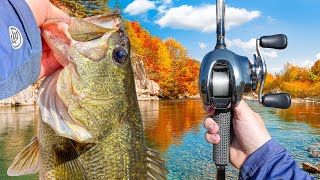 Hunting Down MONSTER Fall Bass With EXPENSIVE Lures (New PB)