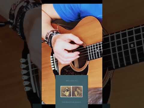 e-mail: Christian_Korbanka@msn.com - lyrics and chords of: Domino Man by The Beautiful South