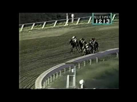 CAJOLEUSE'S SPEED - Clásico Wiso G. 1994