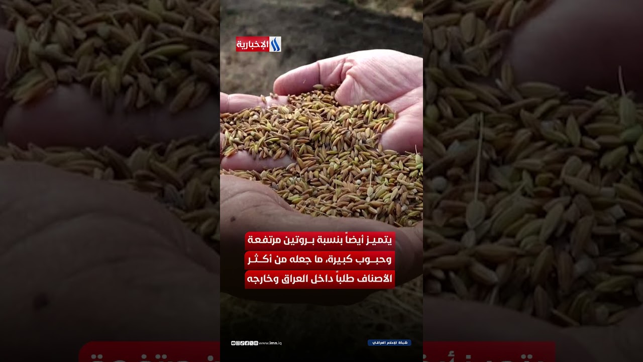 فيديو | كنز العراق الزراعي يعود للحياة من جديد