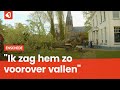 Gigantische boom omgevallen door storm bij Oldenzaalsestraat in Enschede