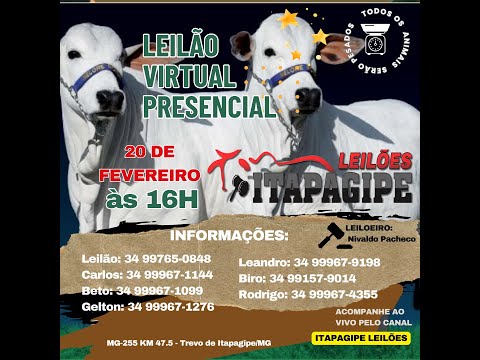 LEILÃO VIRTUAL  - ITAPAGIPE LEILÕES  20/02/2024 - ITAPAGIPE-MG.