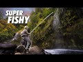 The SECRET waterfall everyone knows about // Mossbrae Falls Fly Fishing with Kris Warner