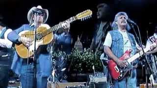 LAREDO ROSE.....Texas Tornados........tsrgp