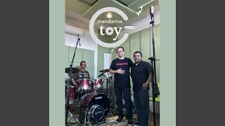 Video Password Perfecto de Mandarina Toy