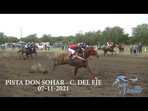 PISTA DON SOHAR - CRUZ DEL EJE - CARRERA 3 NAPOLES