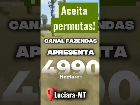 FAZENDA 4.990 HA EM LUCIARA-MT | Aceita 80% em Permuta e Desconto à Vista!