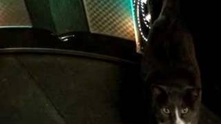 You make me feel so young by Ella Fitzgerald played on a 1956 Wurlitzer model 2000