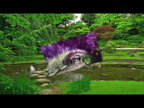 @ionbogdanstefanescu  Doina Rotaru - Japanese Garden (solo flute version)