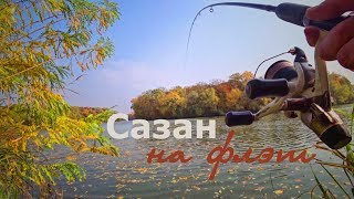 Ловля сазана поздней осенью на реке