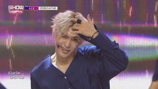 Show Champion EP.231 A.C.E - Cactus