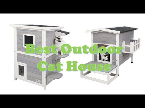 Top 10 Best Outdoor Cat Houses 2022