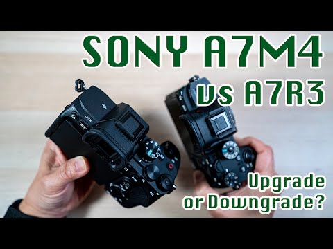 Sony A7 IV vs A7R III | An Upgrade or A Downgrade?